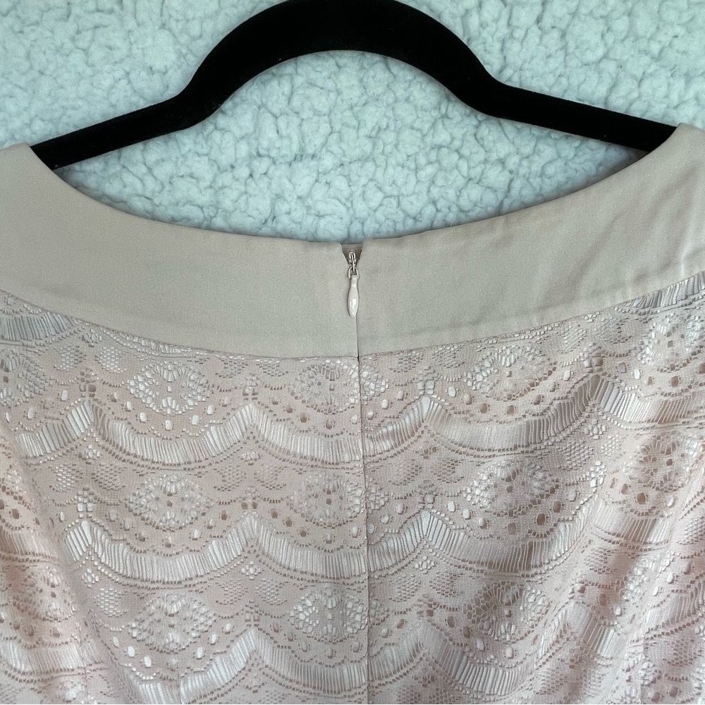 ANTONIO MELANI Blush Lace Sheath Dress - Picture 10 of 16